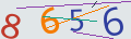 verifycode